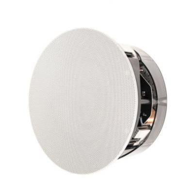 Paradigm CI Pro P65-R V2