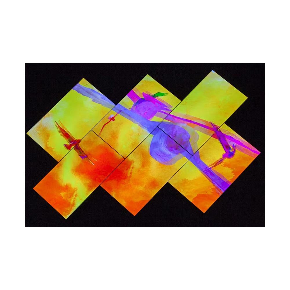 Christie FHD554-X 55" FHD 500 Nit Ultra Narrow Bezel LCD Video Wall  2