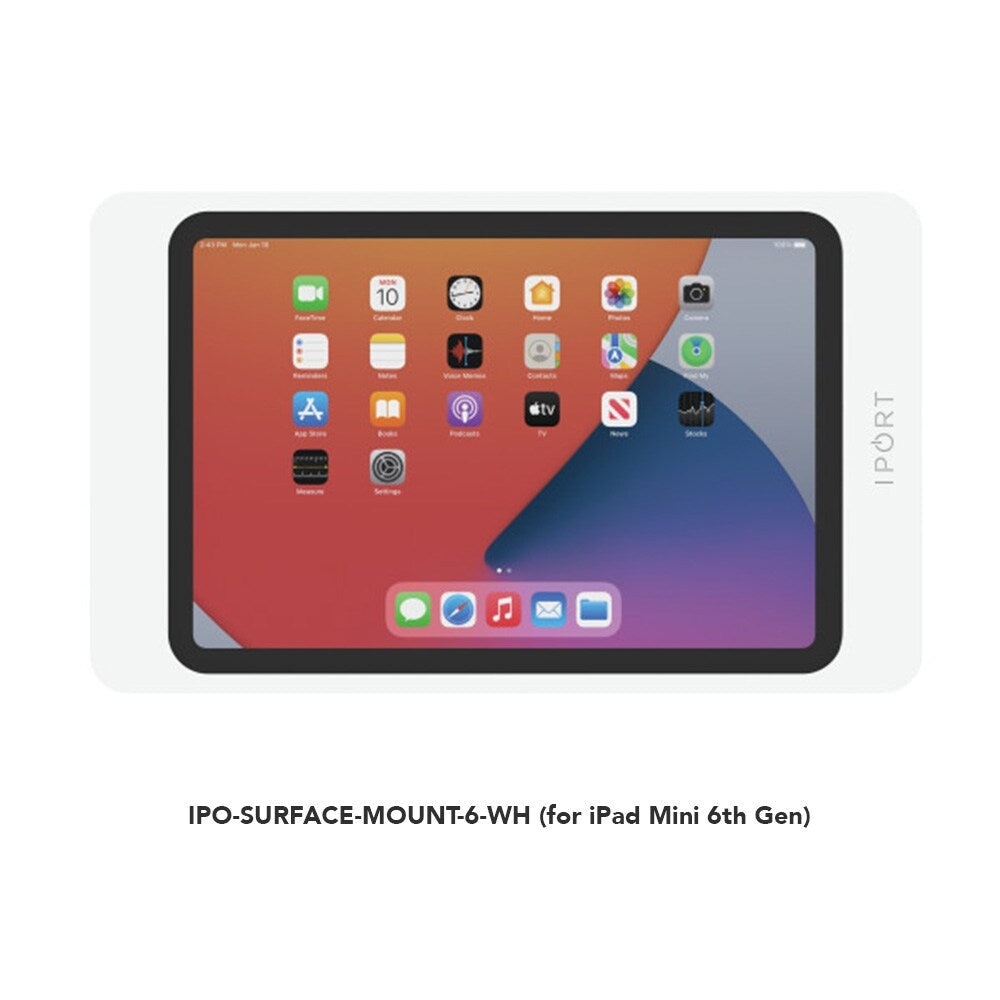 iPort Surface Mount Case  18